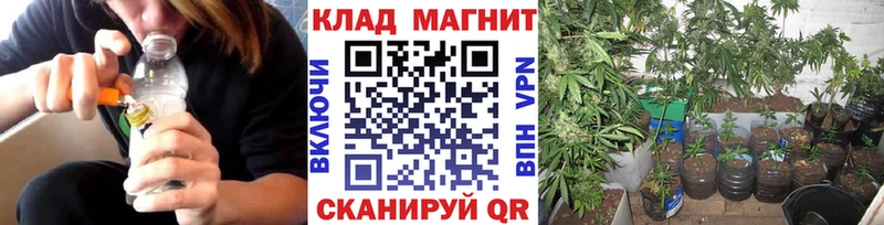Наркошоп купить ГАШ Псилоцибиновые грибы МЕФ СК Артёмовский