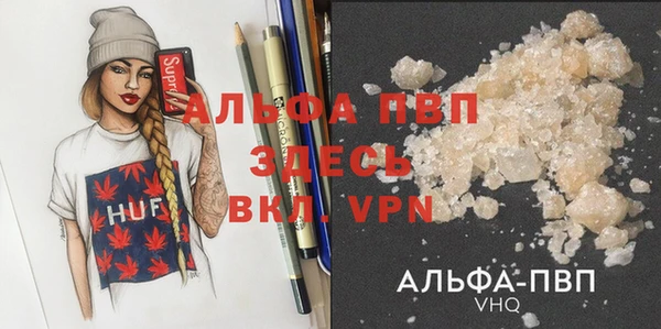 амф Коряжма