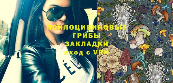 амф Коряжма