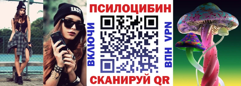 Галлюциногенные грибы Psilocybine cubensis  Купить где  Артёмовский 