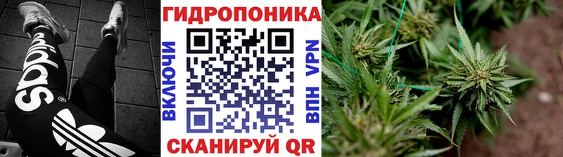 Купить закладки  Артёмовский  Конопля план 